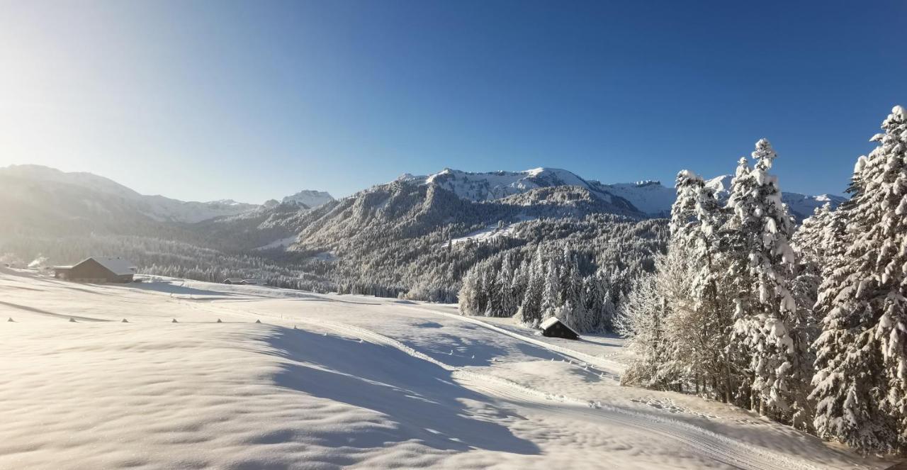 Haus Kipfen Lägenhet Sibratsgfäll Exteriör bild